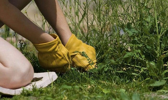 best-yard-work-gloves