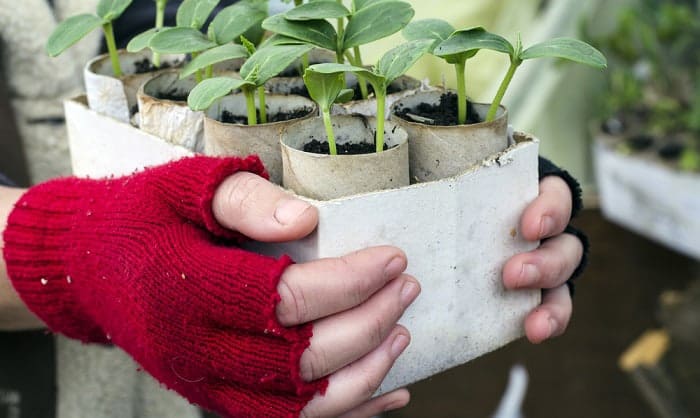 purpose-of-fingerless-gloves