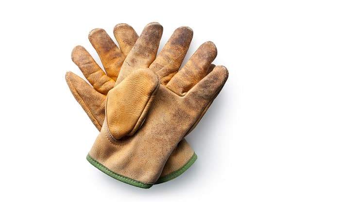 The Sports Vault Unisex San Francisco 49ers Leather Multipurpose Gloves,  One Size Fits All (1-Pair) in the Work Gloves department at