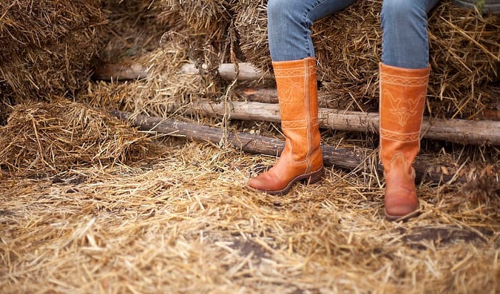 Ariat Vs Justin Work Boots: Which One 