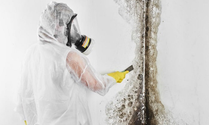 best respirator for lead paint removal